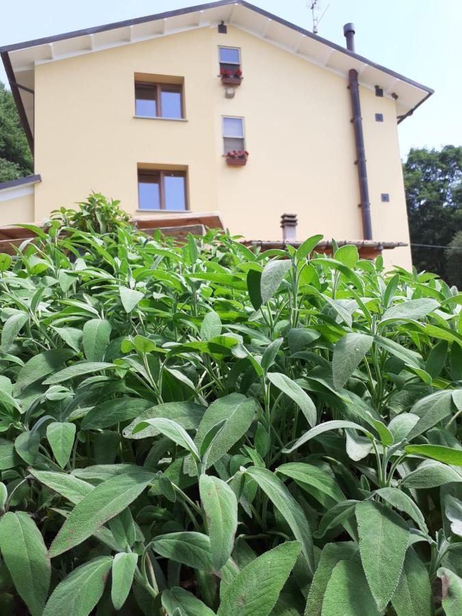 Il Rifugio Nel Comero Verghereto Bagian luar foto